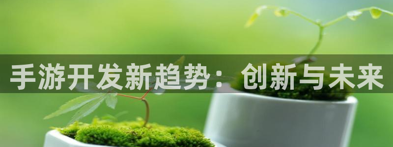 恩佐娱乐手机登录：手游开发新趋势：创新与未来