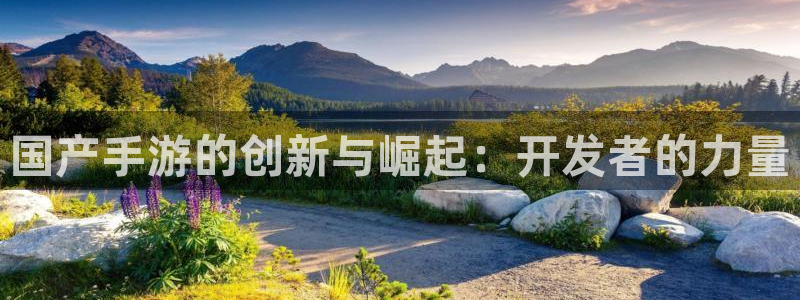 恩佐娱乐登陆：国产手游的创新与崛起：开发者的力量