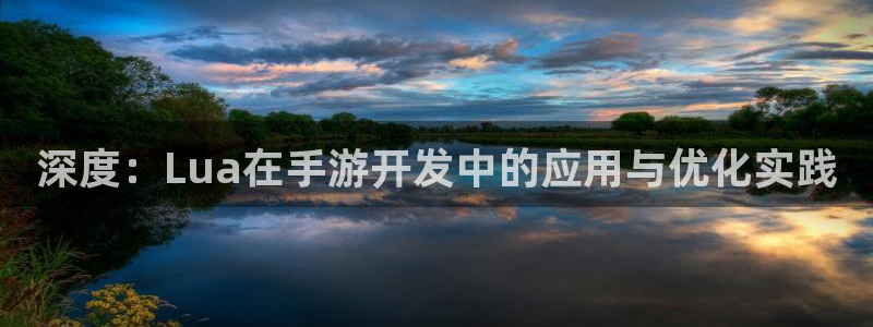 恩佐娱乐手机登录：深度：Lua在手游开发中的应用与优化实践