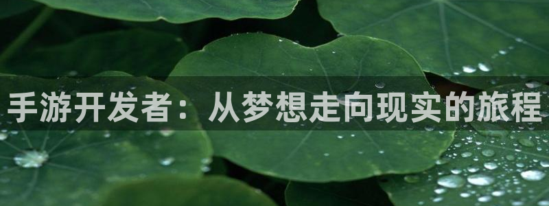 恩佐娱乐手机版最新功能介绍视频：手游开发者：从梦想走向现实的