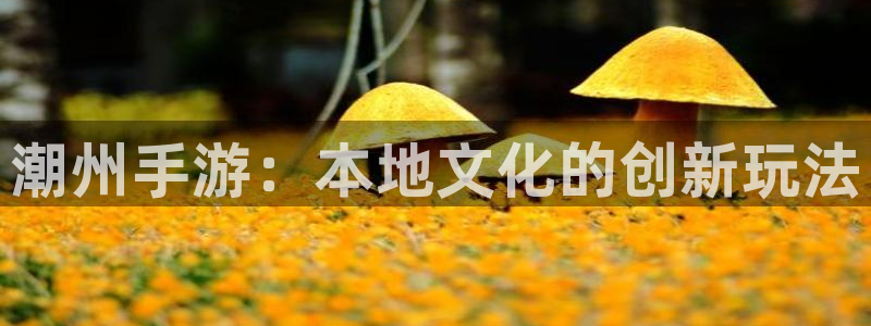 恩佐娱乐平台正规吗可靠吗：潮州手游：本地文化的创新玩法