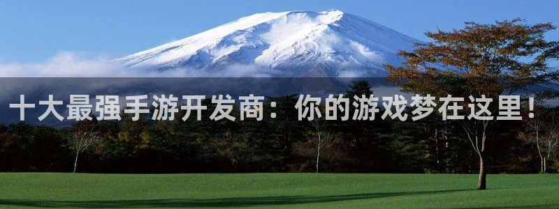 恩佐娱乐登陆：十大最强手游开发商：你的游戏梦在这里！