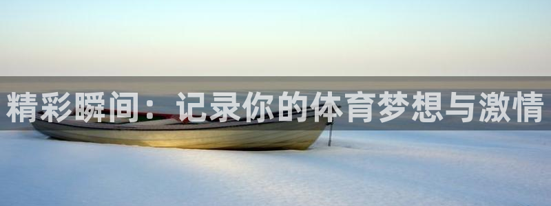 风速体育app