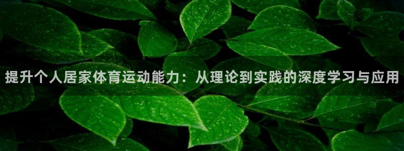 风速体育app：提升个人居家体育运动能力：从理论到实践的深度学习与应用