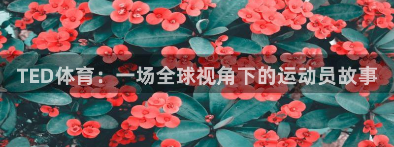 下载风速体育：TED体育：一场全球视角下的运动员故事