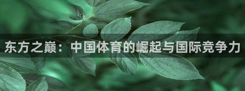 风速体育app下载安装最新版本：东方之巅：中国体育的崛起与国际竞争力