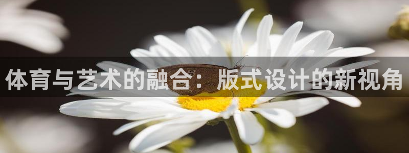 下载风速体育：体育与艺术的融合：版式设计的新视角