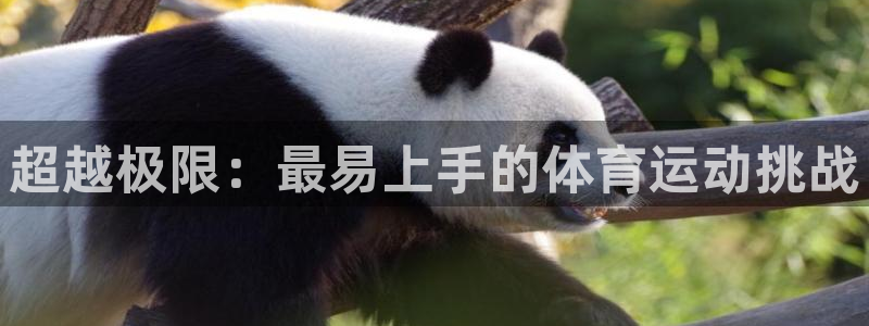 风速体育app下载安装最新版本：超越极限：最易上手的体育运动挑战