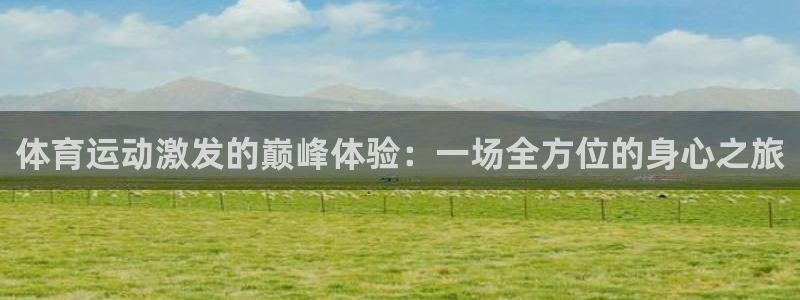风速体育官网：体育运动激发的巅峰体验：一场全方位的身心之旅