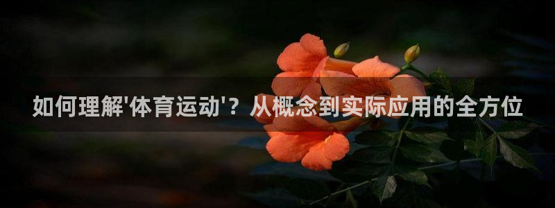 风速体育app下载安装最新版本