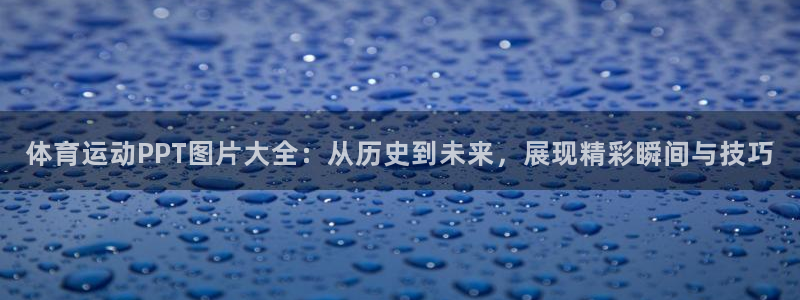 风速体育app