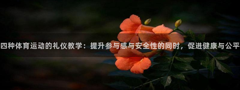 风速体育：四种体育运动的礼仪教学：提升参与感与安全性的同时，促进健康与公平