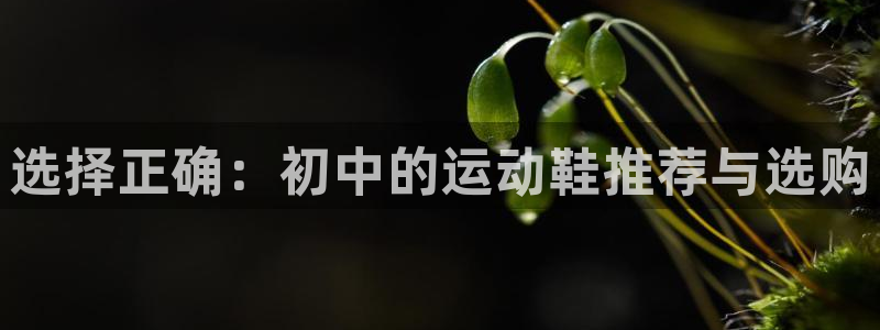 风速体育app下载官网最新版