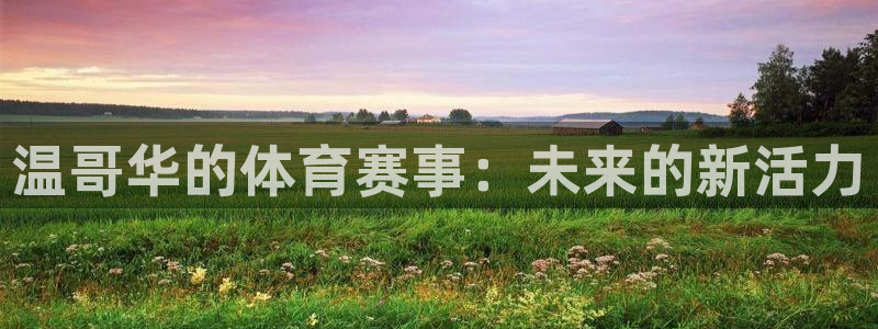 风速体育nba免费直播