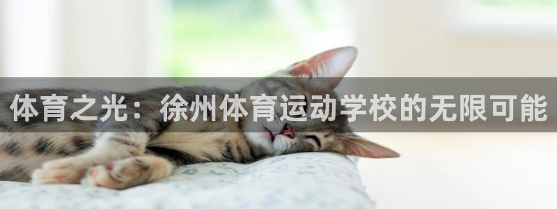 风速体育：体育之光：徐州体育运动学校的无限可能