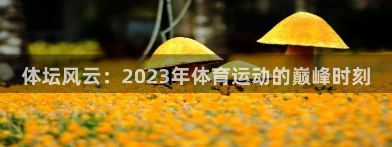 风速体育nba免费直播：体坛风云：2023年体育运动的巅峰时刻