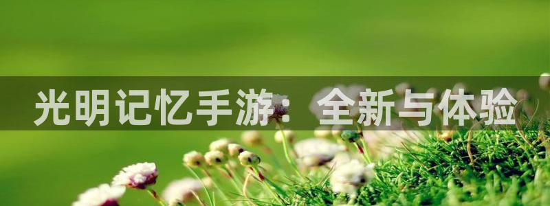 恩佐娱乐官方注册：光明记忆手游：全新与体验