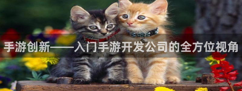 恩佐娱乐：手游创新——入门手游开发公司的全方位视角